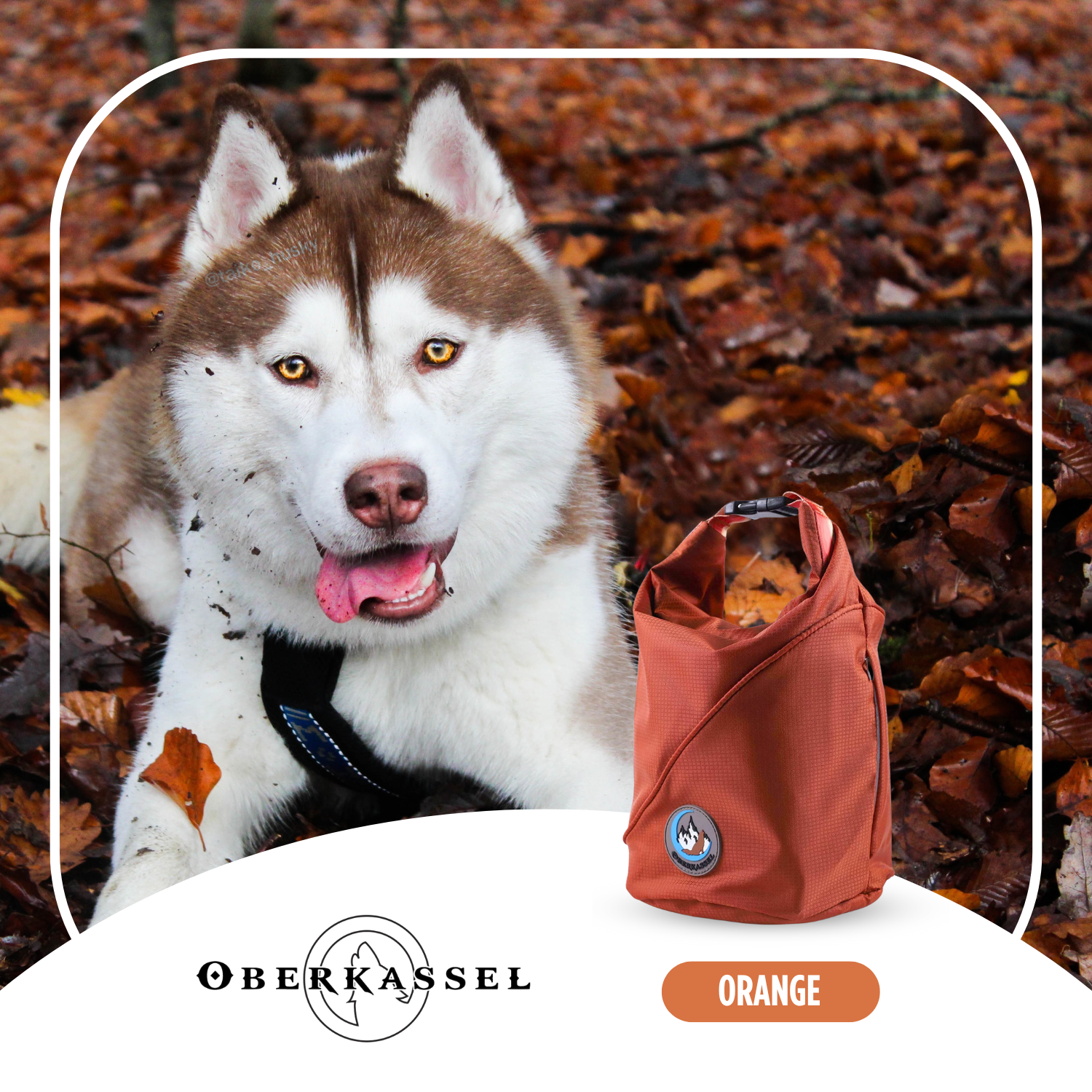 OUT-OF-OFFICE INSULATED PET FOOD CARRY CASE